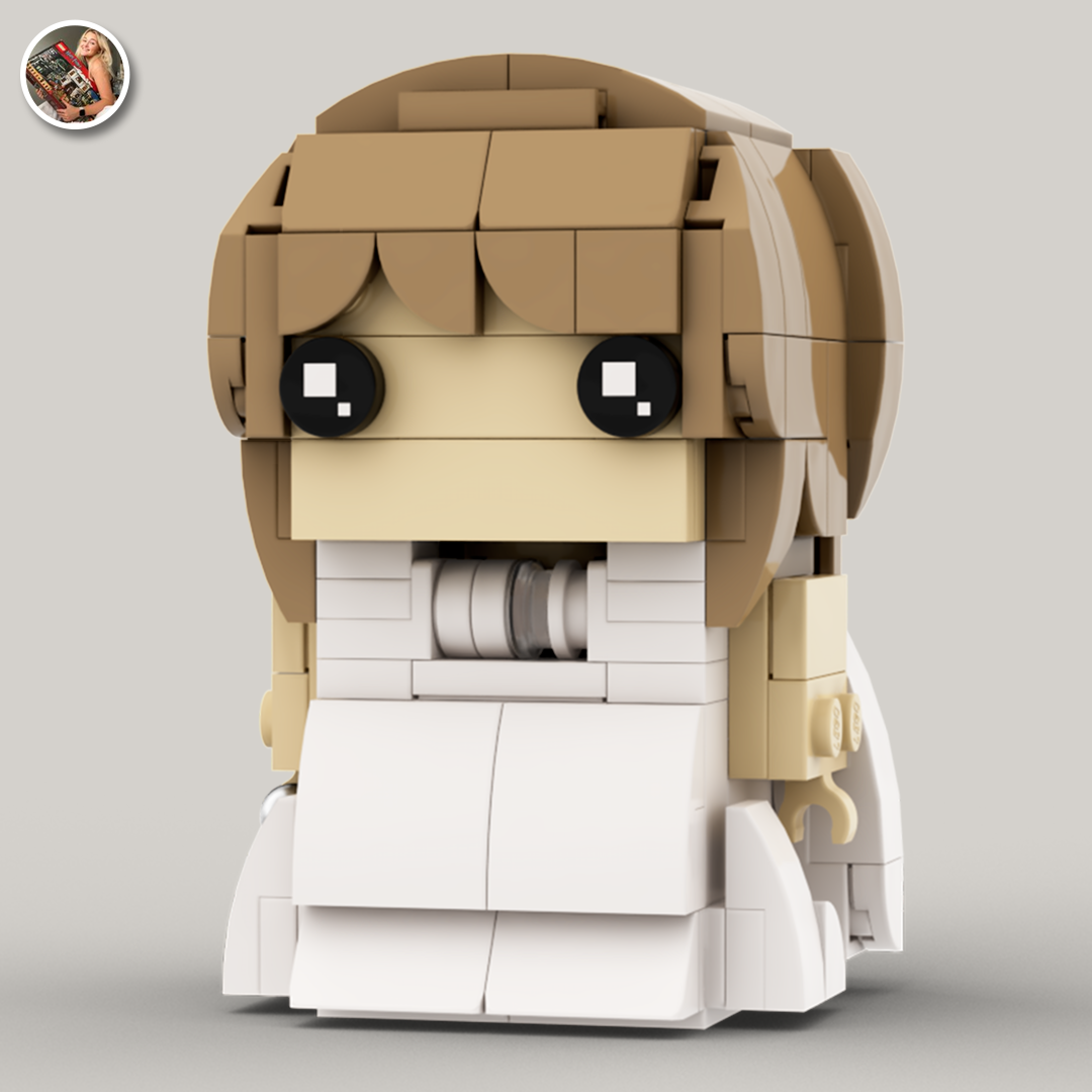 In My Brick Era Instruction Bundle