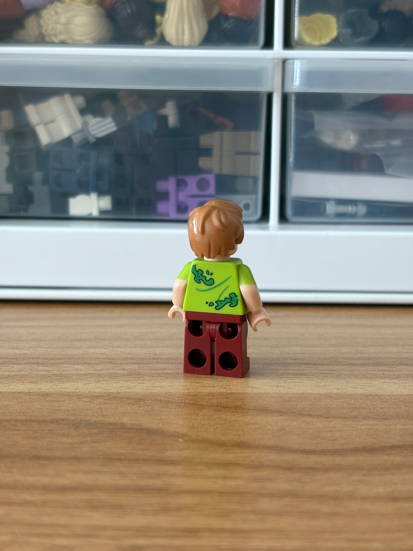 LEGO Scooby Doo Shaggy (Seaweed Version)