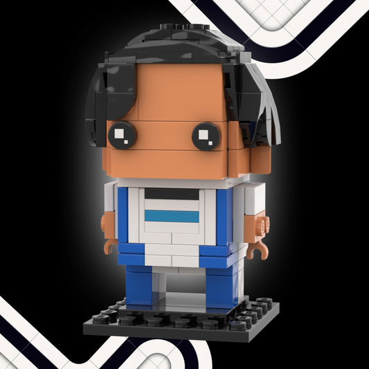 55 (Sainz) Instructions