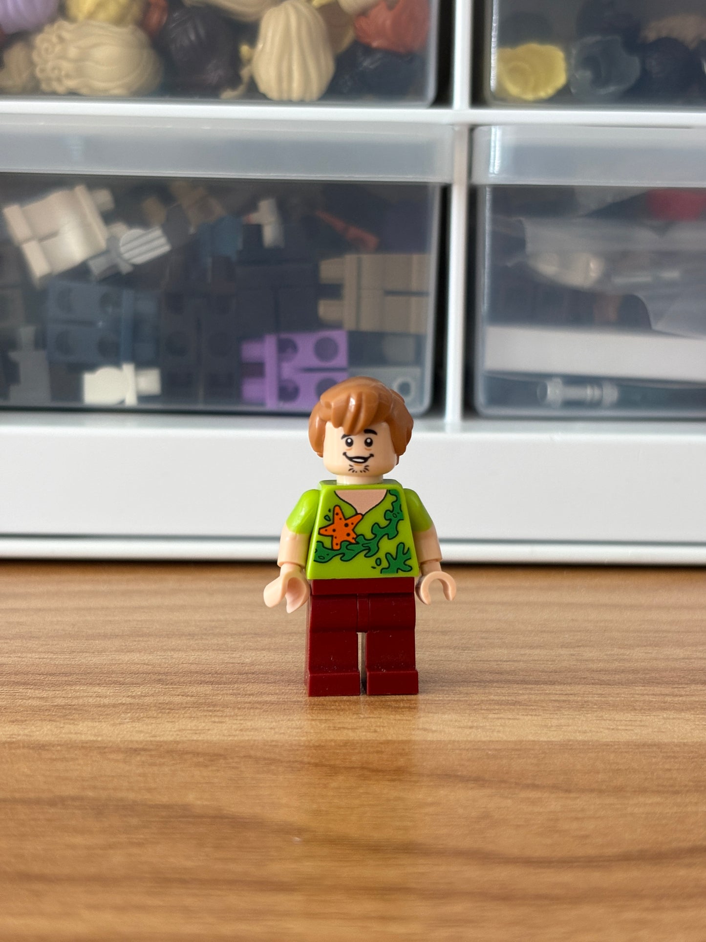 LEGO Scooby Doo Shaggy (Seaweed Version)