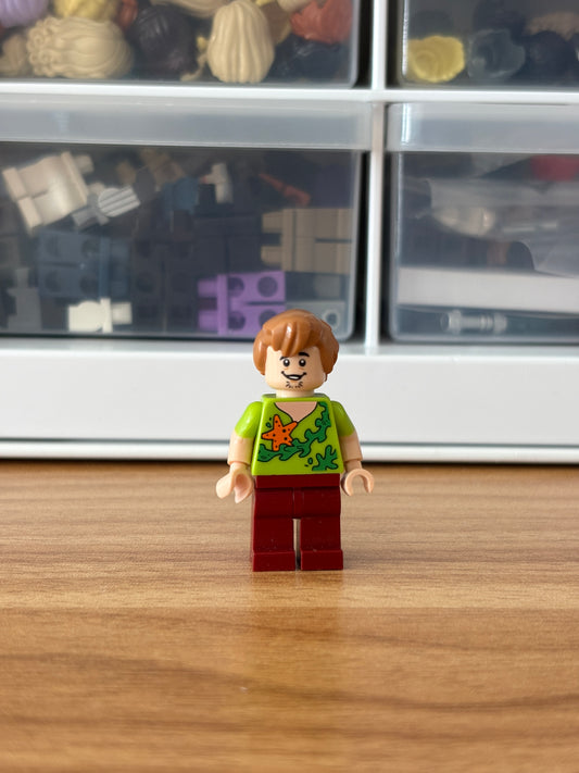 LEGO Scooby Doo Shaggy (Seaweed Version)